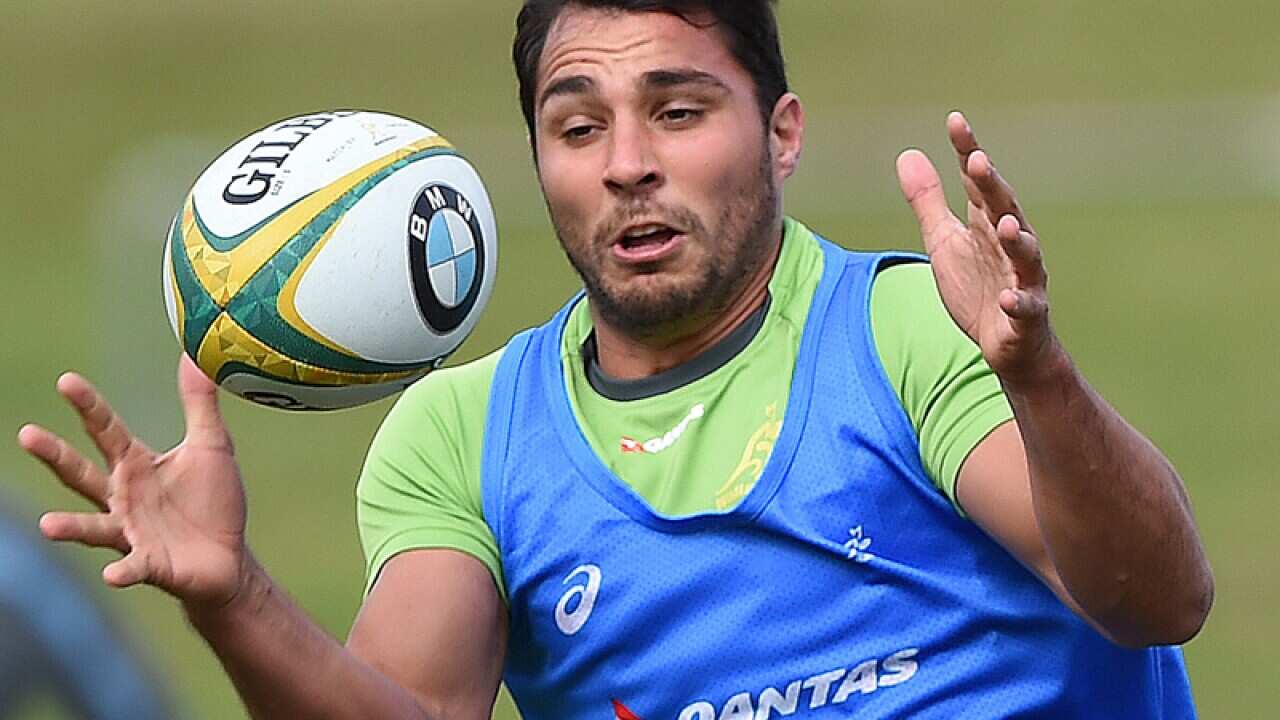 Nick Phipps during the Australian Wallabies team training session