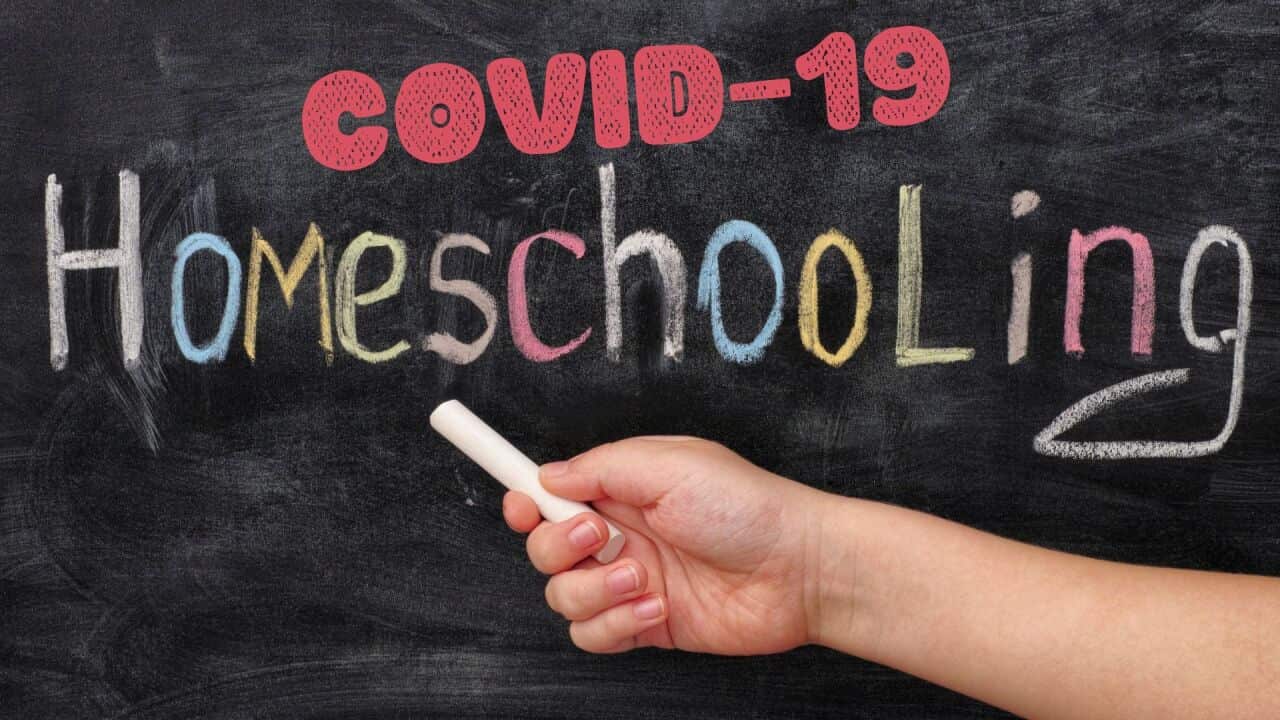 Homeschooling in a pandemic