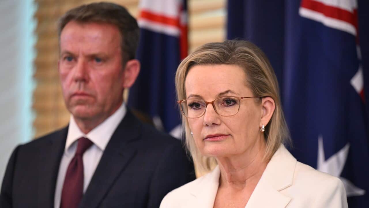 SUSSAN LEY NET ZERO PRESSER