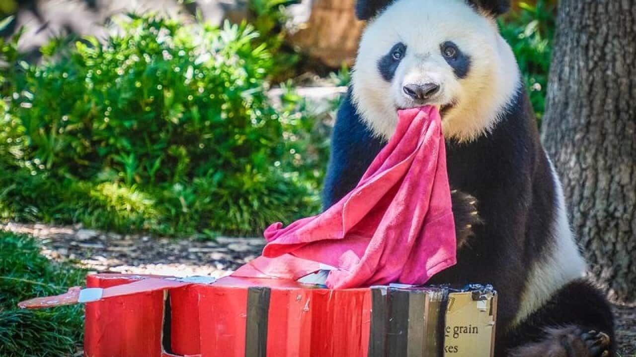 Image for read more article 'READ MORE'