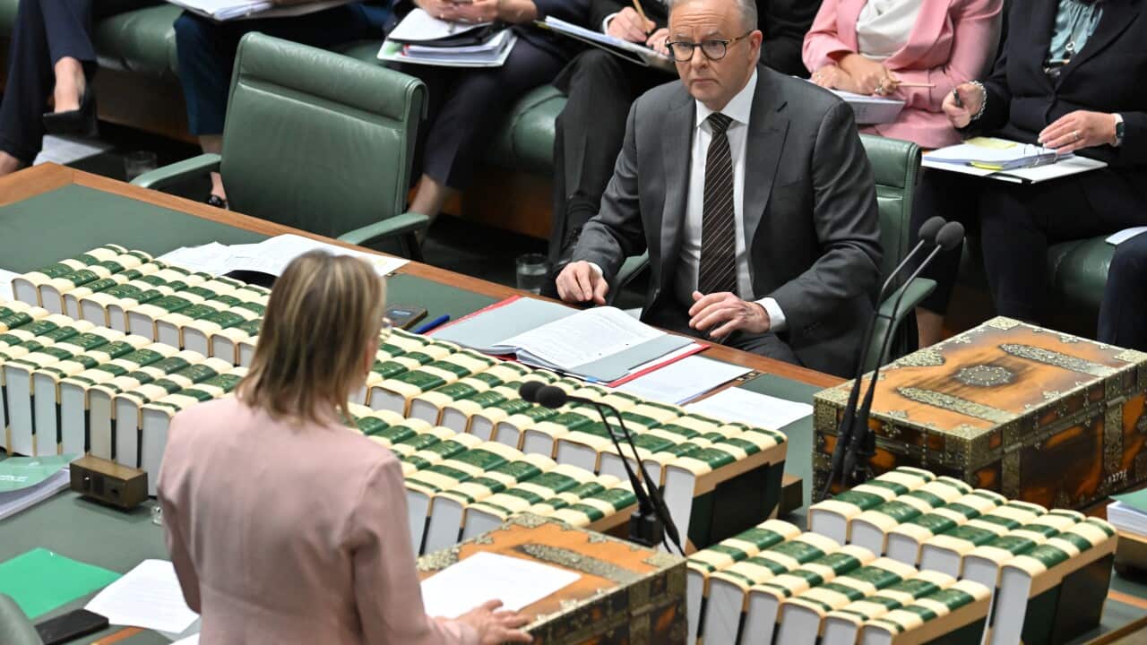 Opposition leader Sussan Ley, in a dusty pink suit, delivers remarks across the chamber to Prime Minister Anthony Albanese.