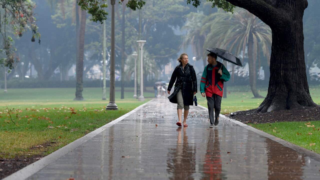 Pedestrians hold umbrellas as they walk in heavy rain in Sydney