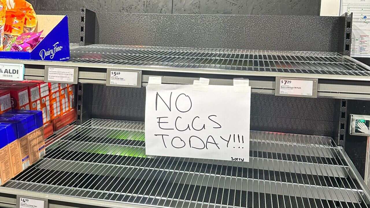 Image for read more article 'READ MORE'