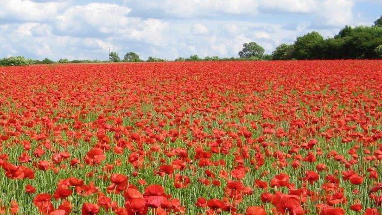 Image for read more article 'READ MORE'