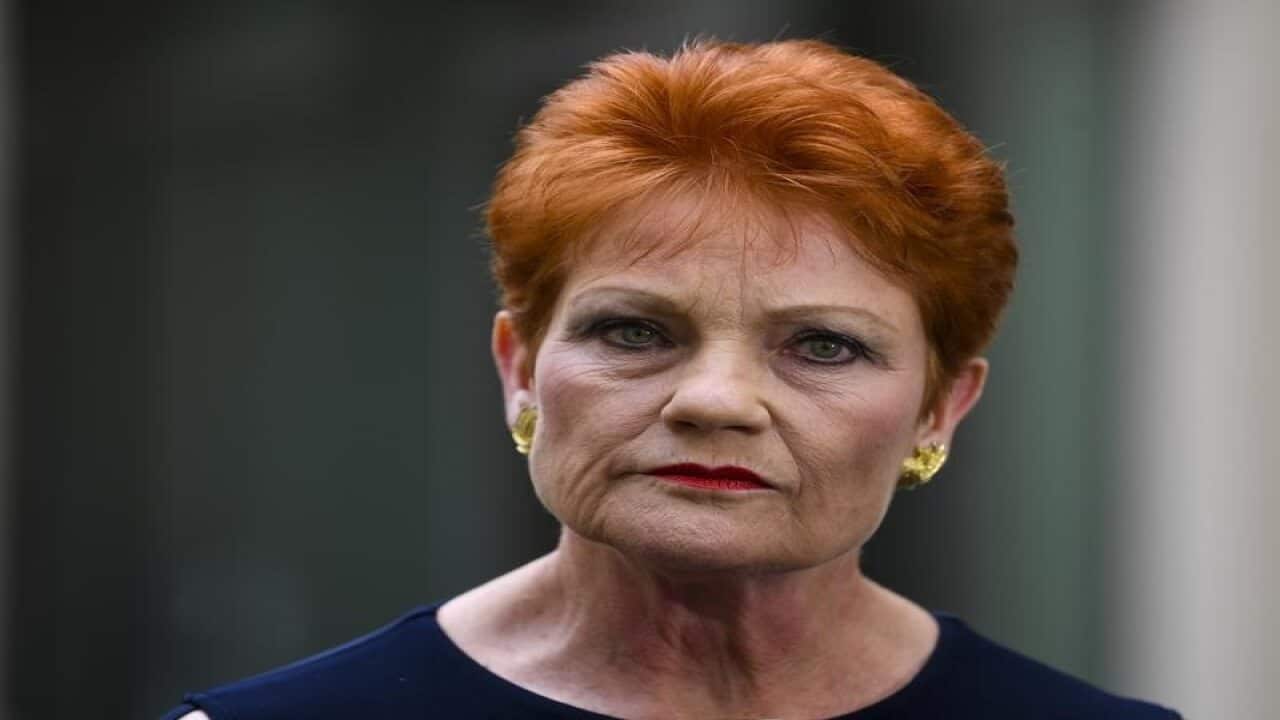 One Nation party leader Pauline Hanson