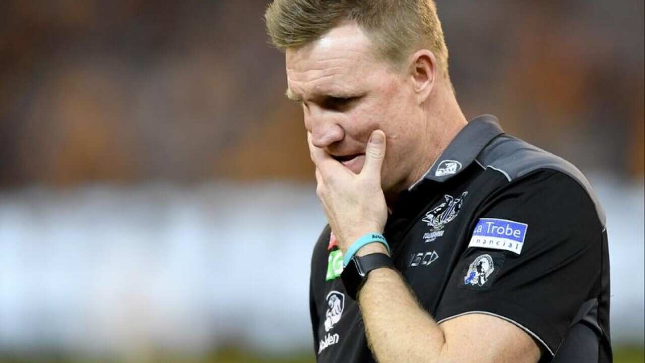 Collingwood coach Nathan Buckley
