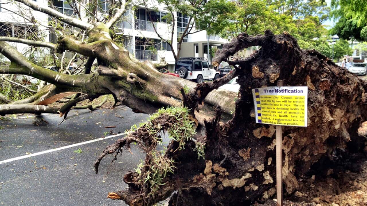 Image for read more article ''