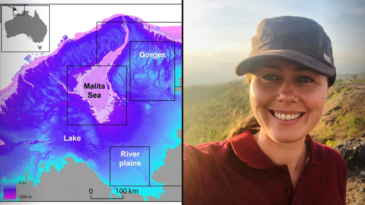 Image for read more article 'READ MORE'