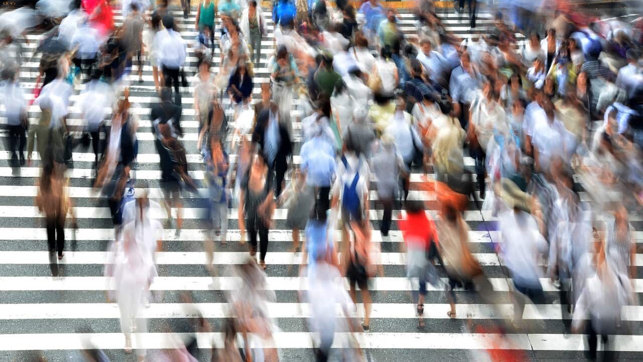 pedestrians-400811_1920.jpg