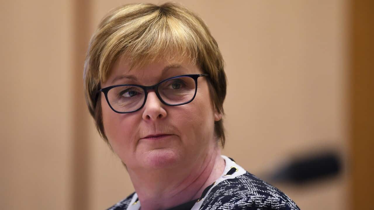 National Disability Insurance Scheme Minister Linda Reynolds at Parliament House in Canberra.