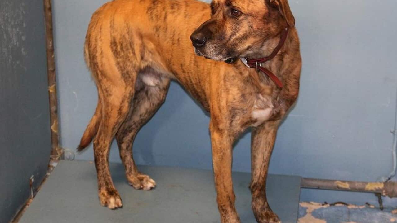 Image for read more article ''