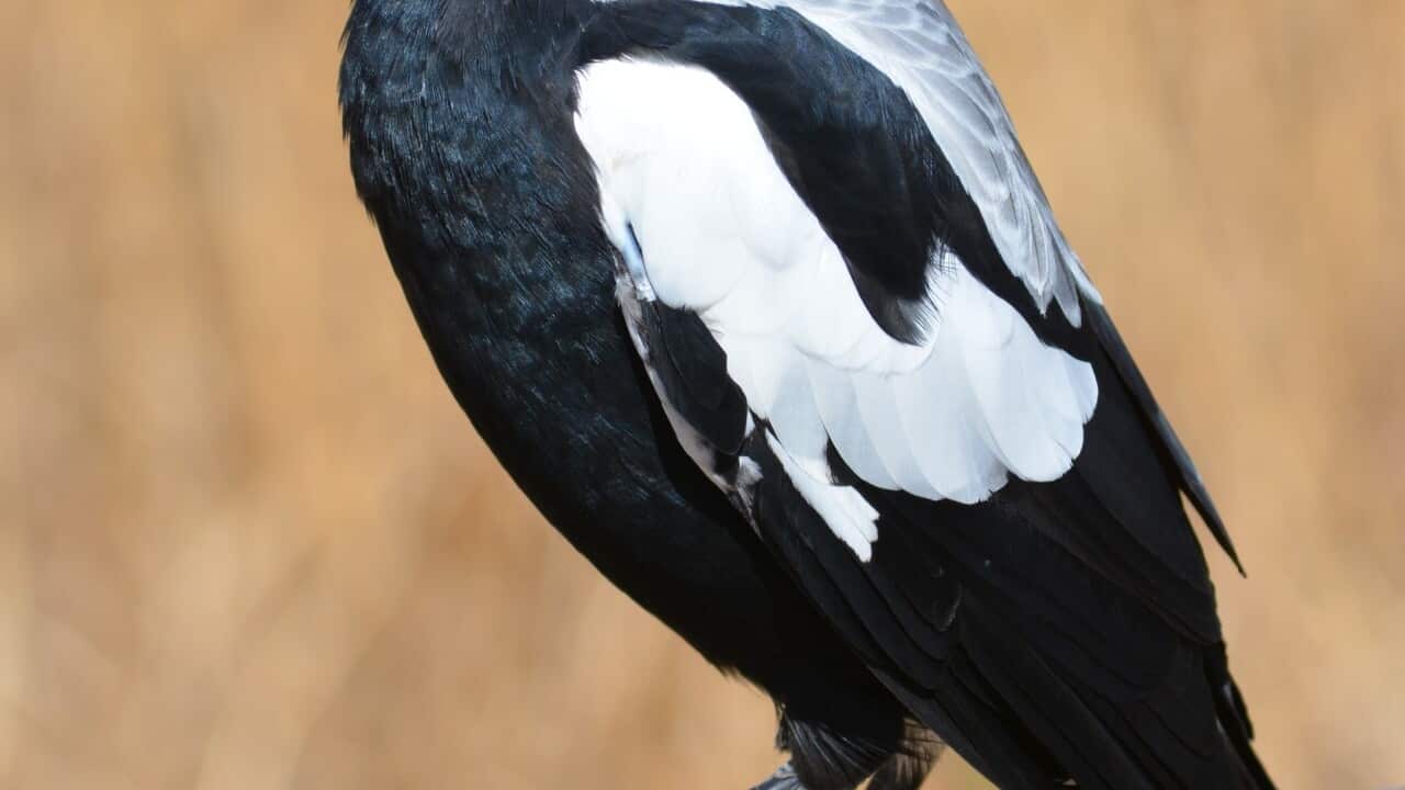 Image for read more article 'READ MORE'