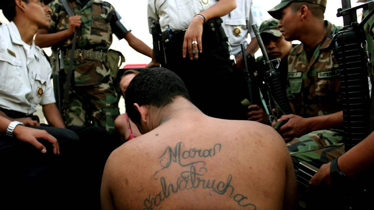 Image for read more article ''