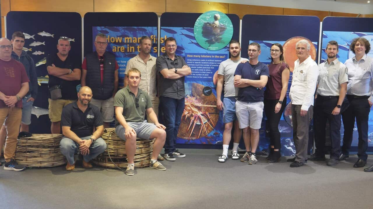 Avec équipe DPIRD et Western Rock Lobster Council à Hillarys WA.jpg