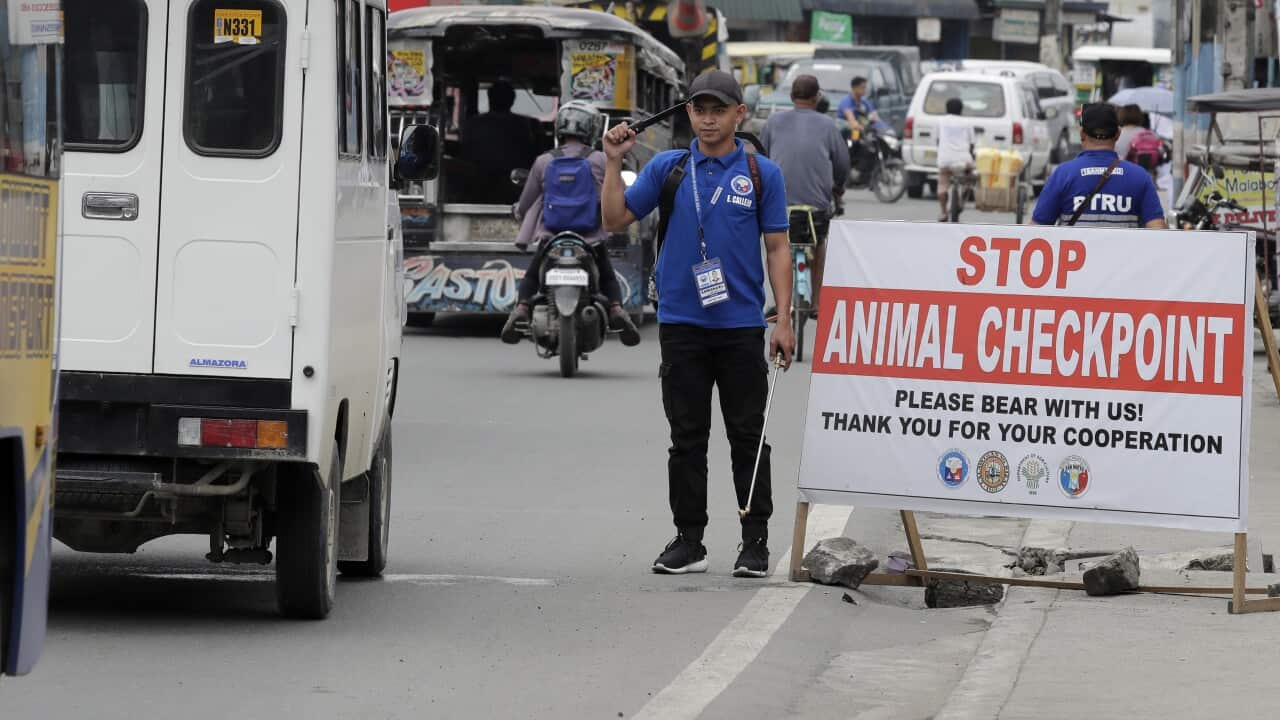 An animal checkpoint in the Philippines to help prevent the spread of African Swine Fever virus