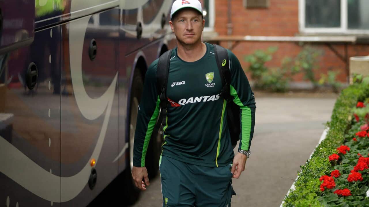 Australia wicketkeeper Brad Haddin