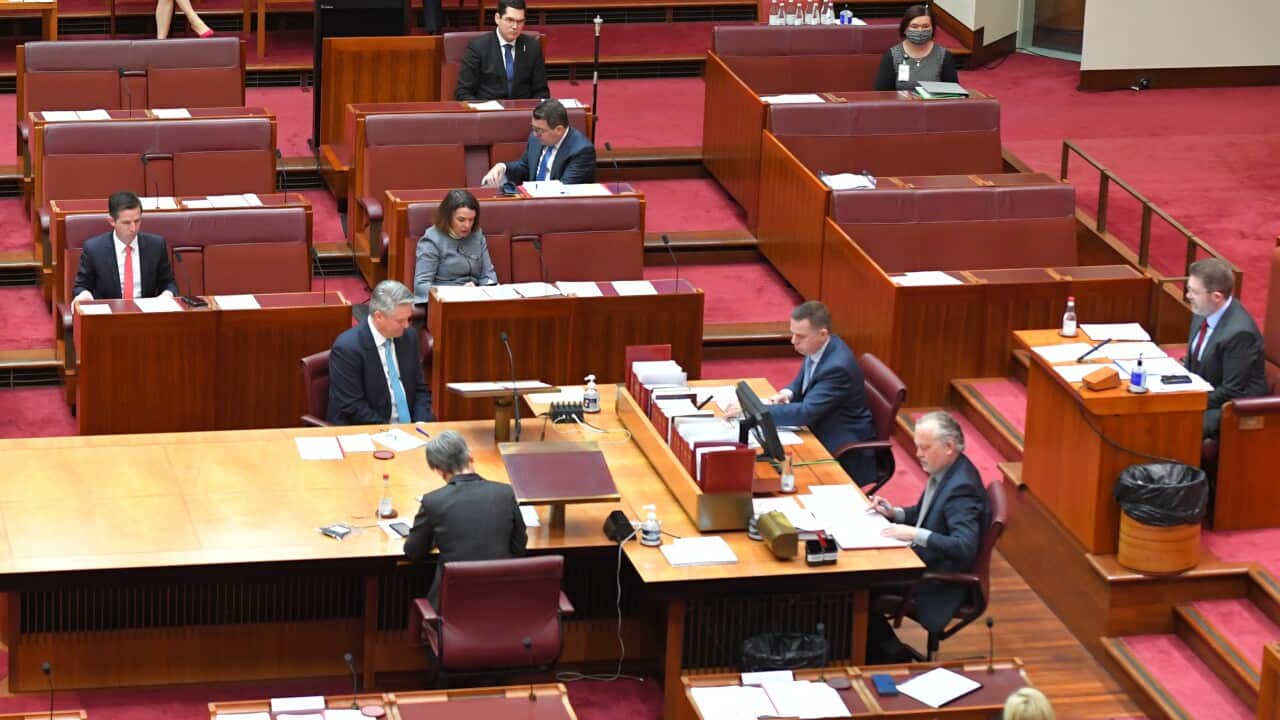 Liberal senators sit next to a television screen in the Senate chamber at Parliament House in Canberra, Monday, August 24, 2020.