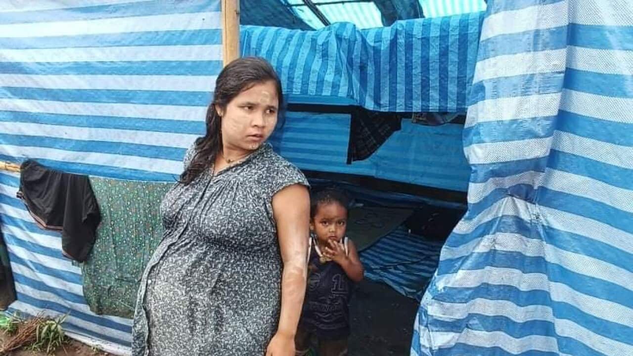 Pregnant woman.jpg