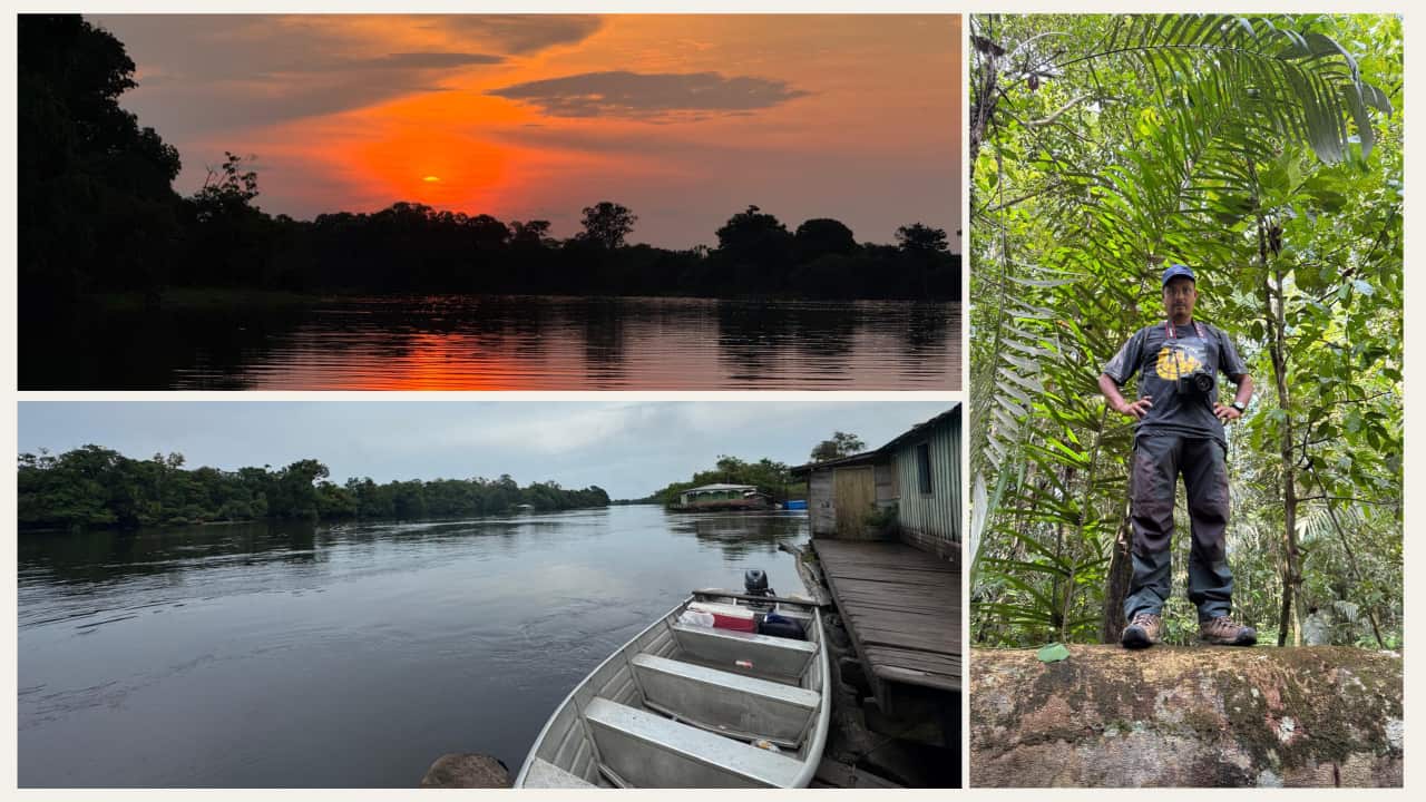 মেলবোর্নের পাভেল সিদ্দিকী সম্প্রতি ঘুরে এলেন অ্যামাজনের জঙ্গল।