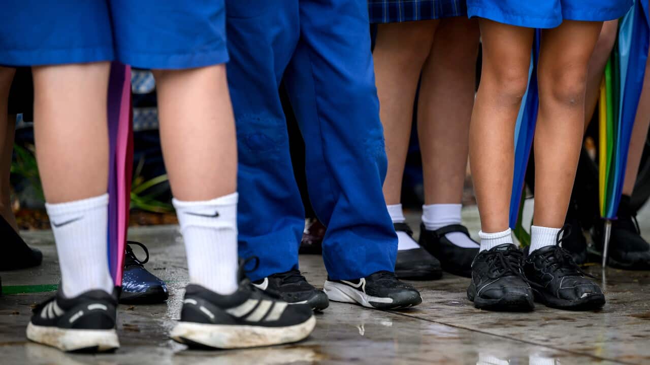 The students' lower halves are visible. They are dressed in blue shorts or pants and various styles of black shoes.