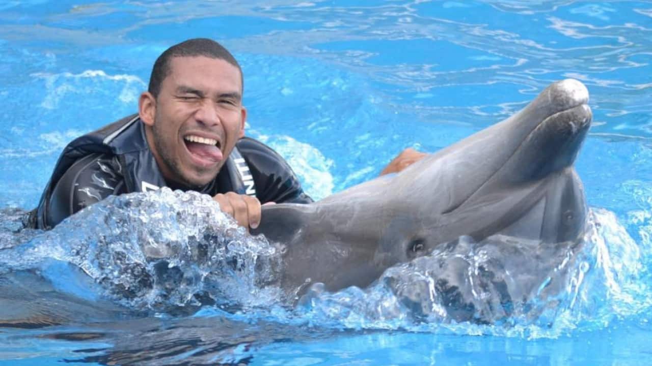 Image for read more article 'RECOMMENDED'