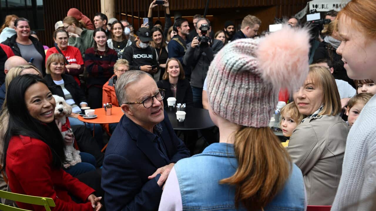 ANTHONY ALBANESE ELECTION REACTION
