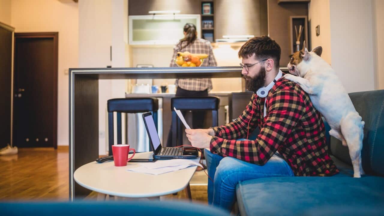 Man with dog working from home