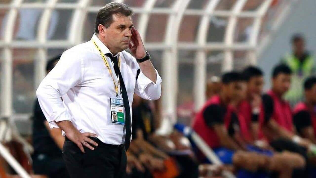 Socceroos coach Ange Postecoglou