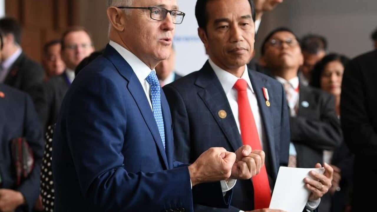 Australian PM Malcolm Turnbull and Indonesian President Joko Widodo