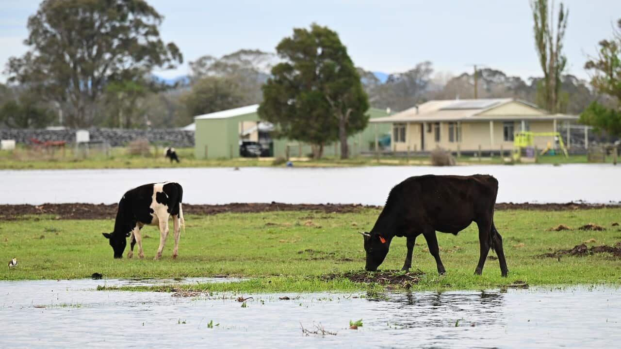 VIC FLOODS