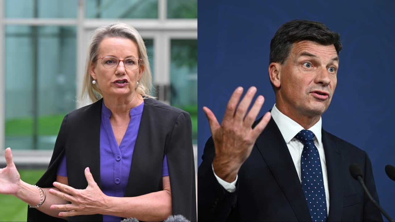 Image for read more article 'READ MORE'