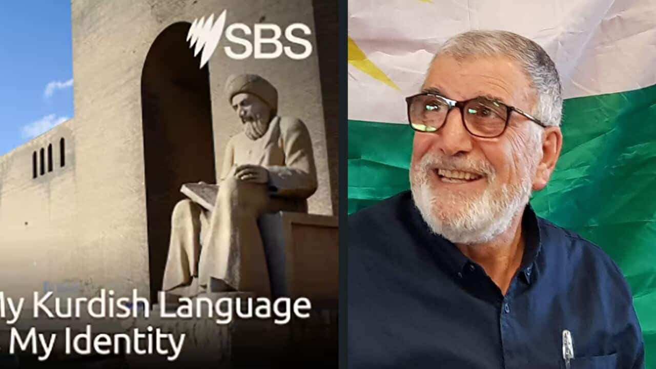 Shahin Bekir Sorekli.jpg
