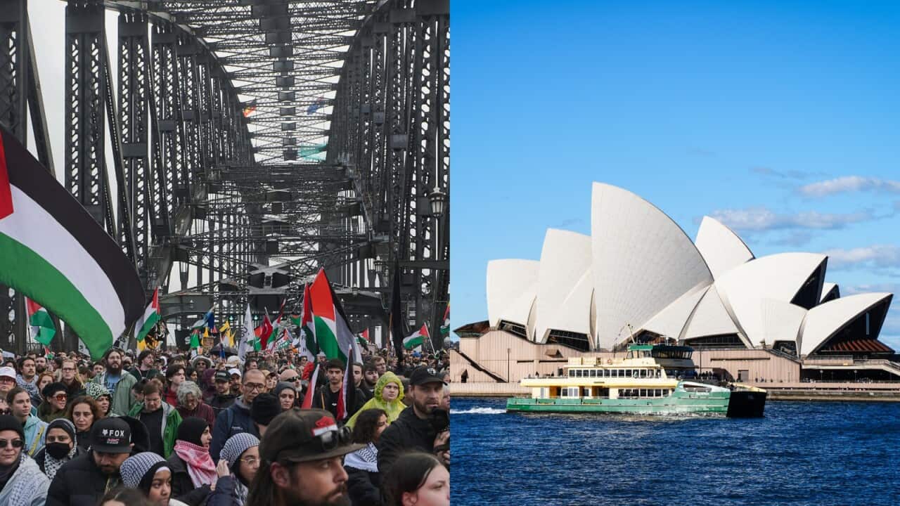 A composite of pro-Palestine protestors crossing the Sydney Harbour Bridge, and the Sydney Opera House