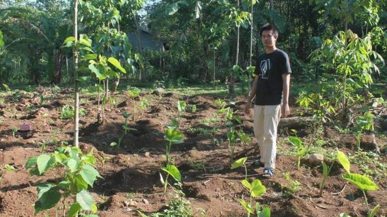Achmad Nur Fachry Machmud in the taro garden – 2019.
