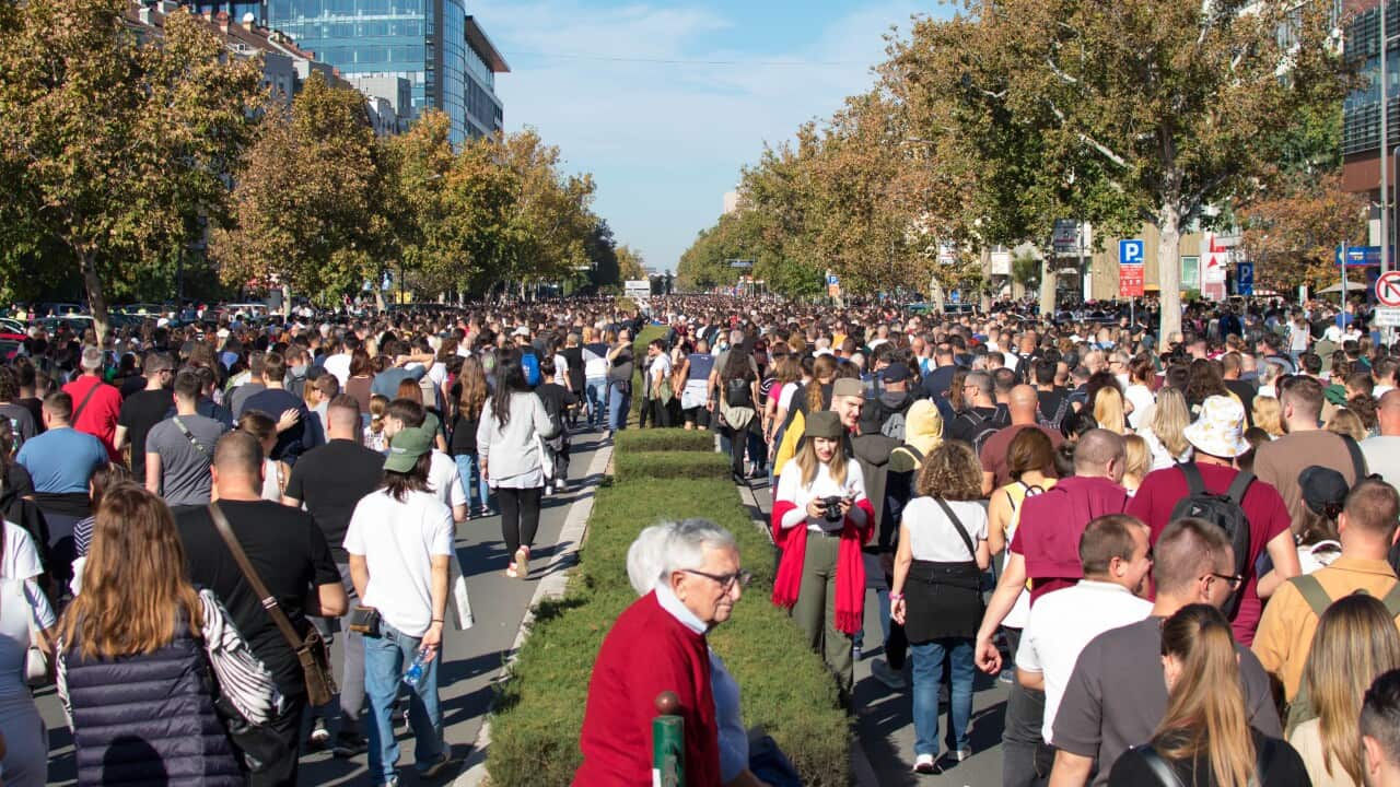 Bulevar Oslobođenja Novi Sad.jpg