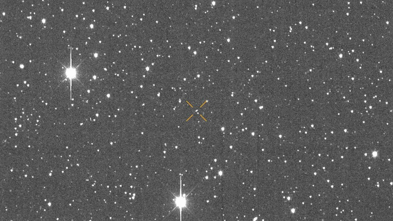 Newly Discovered Asteroid