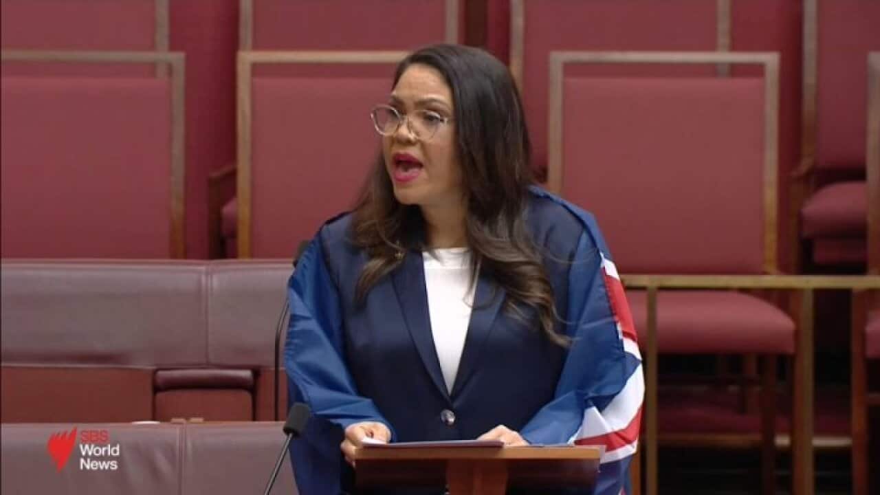Calls for Liberal Senator Jacinta Nampijinpa Price to apologise over comments on Indian migrants