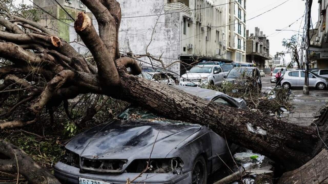 Image for read more article 'MORE NEWS'