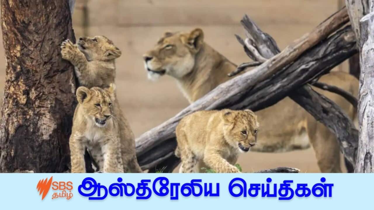 News 02 Nov.jpg
