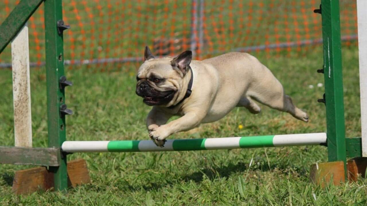 Image for read more article ''