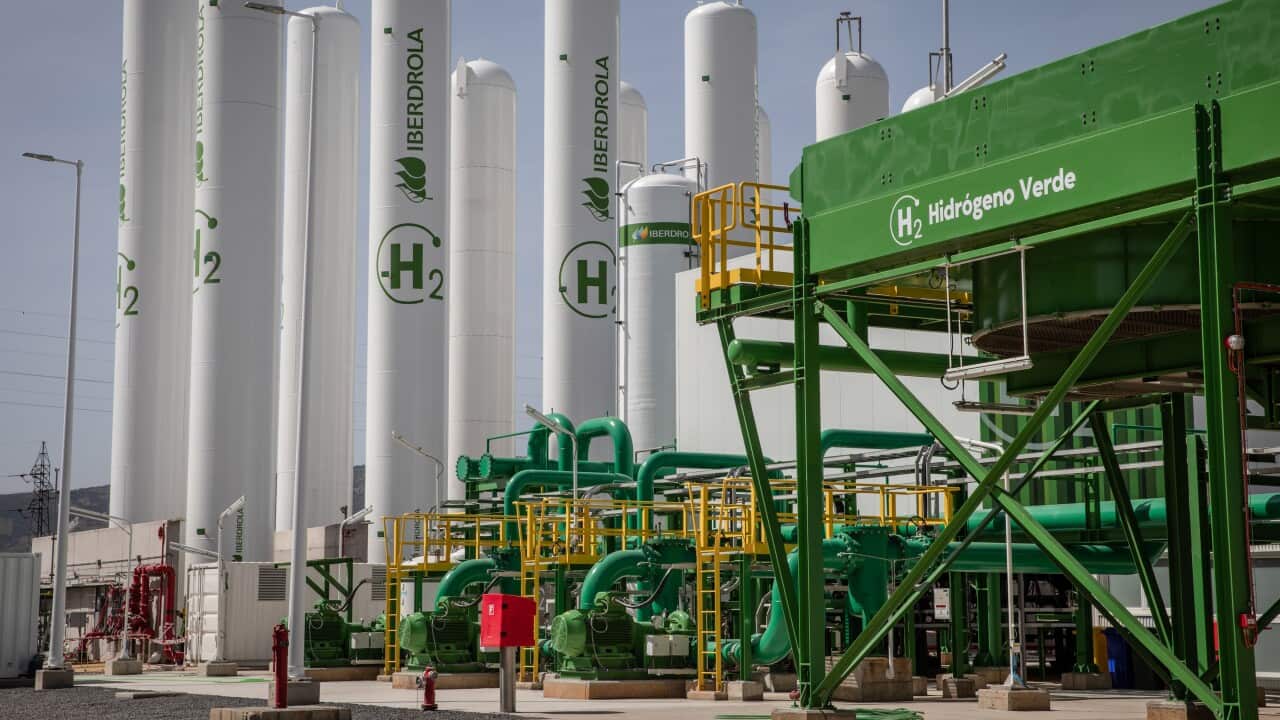 Europe's Largest Green Hydrogen Plant