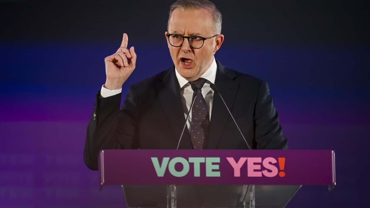 ANTHONY ALBANESE VOICE REFERENDUM ANNOUNCEMENT