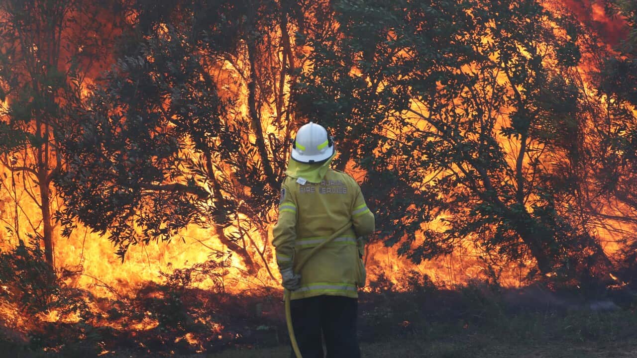 A firefighter with a hose standing in front of a bushfire