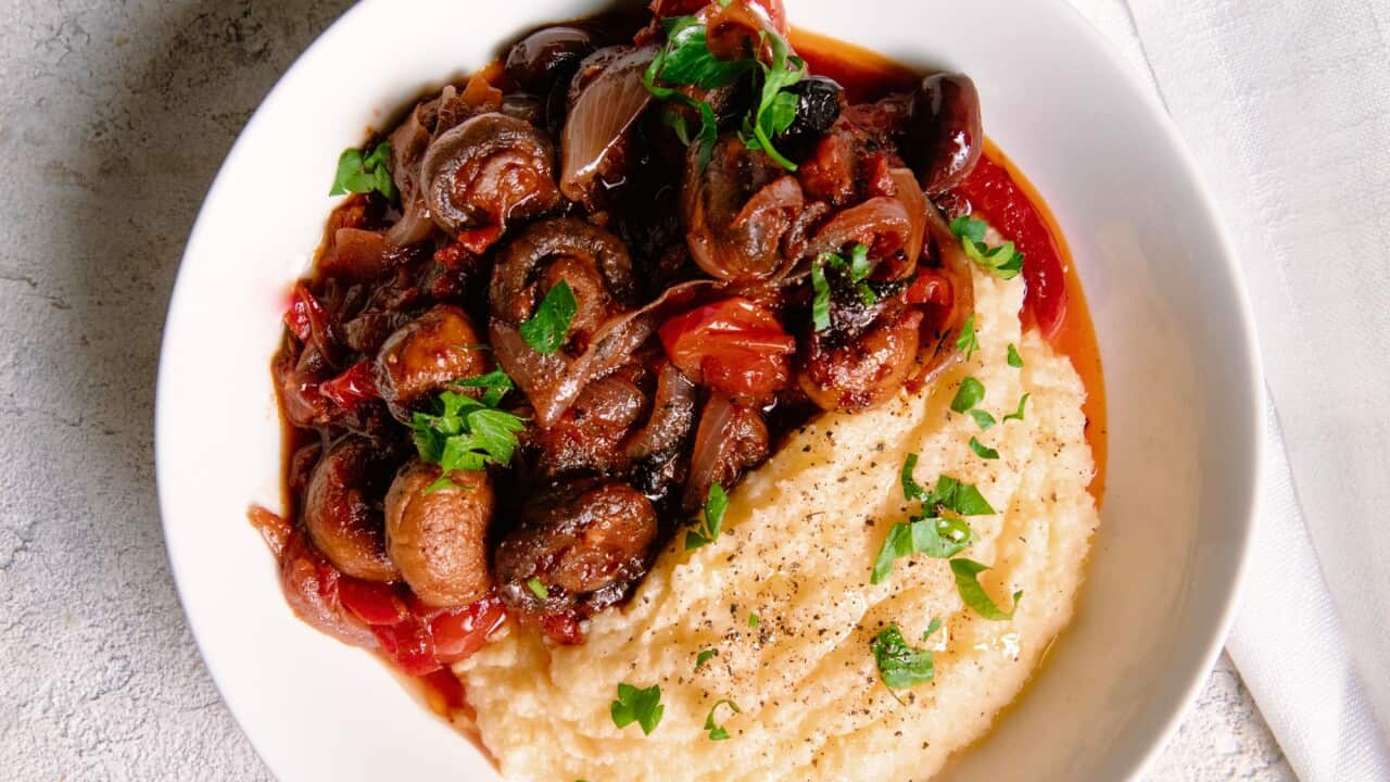 Mushroom cacciatore with polenta 