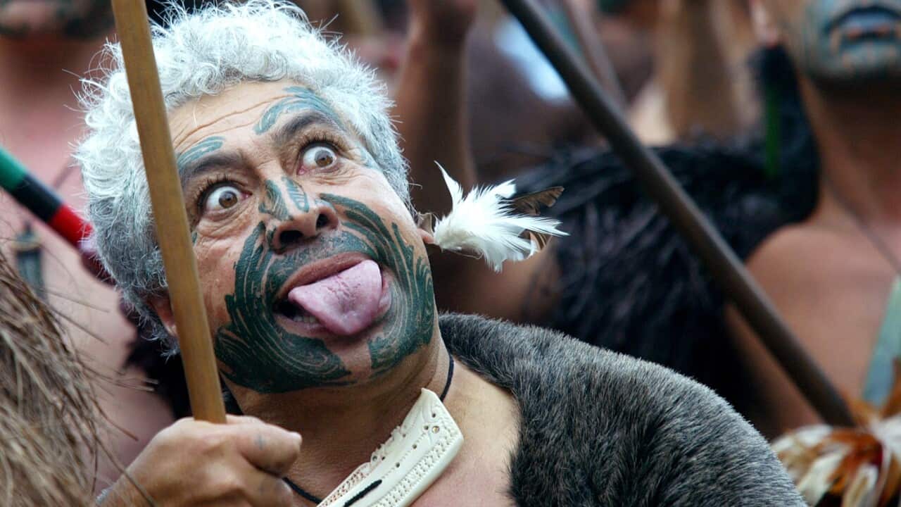 MAORI MARCH WELLINGTON