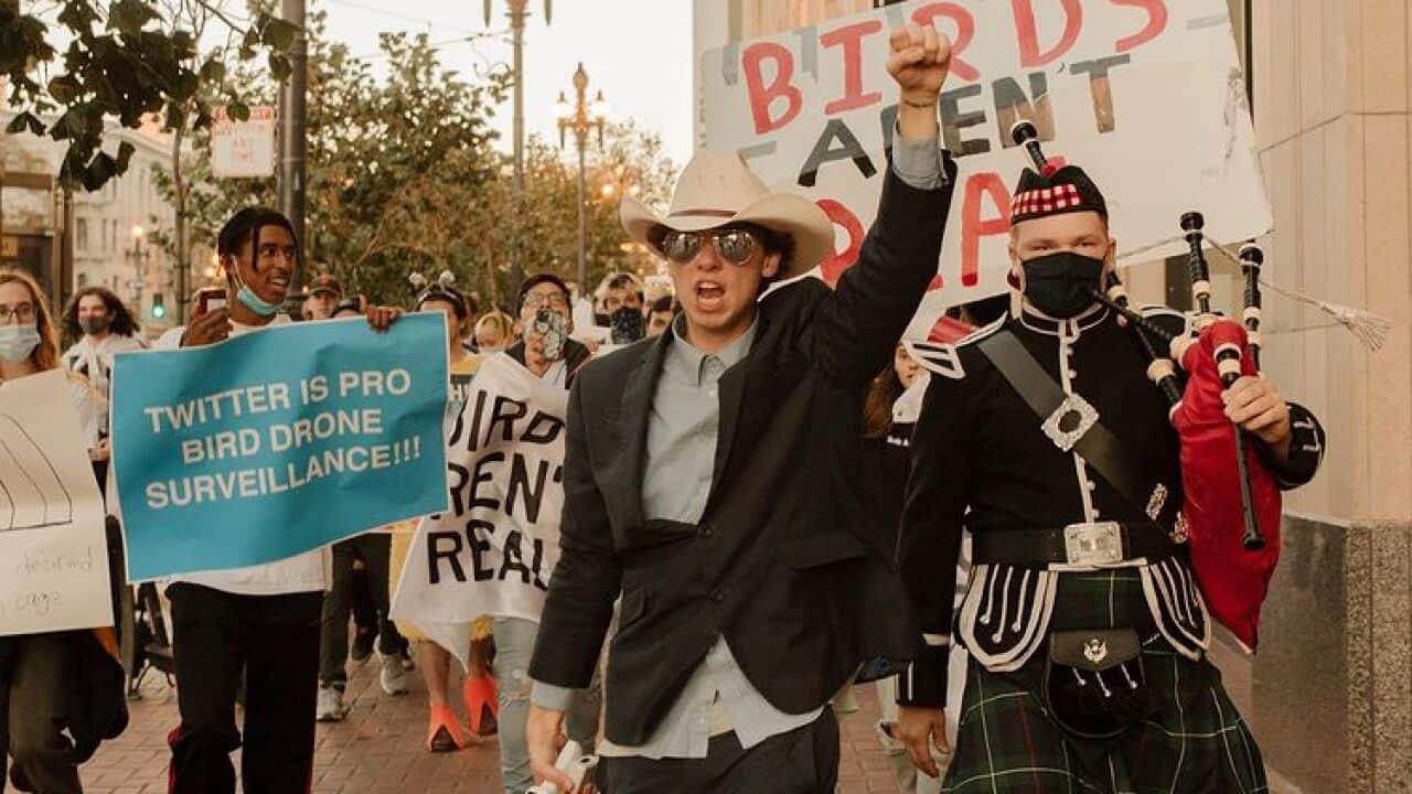 Birds aren’t real: When Gen Z decides to build a conspiracy | SBS The Feed