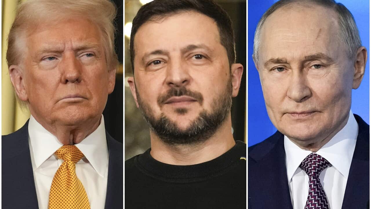 Trump Zelenskyy Putin
