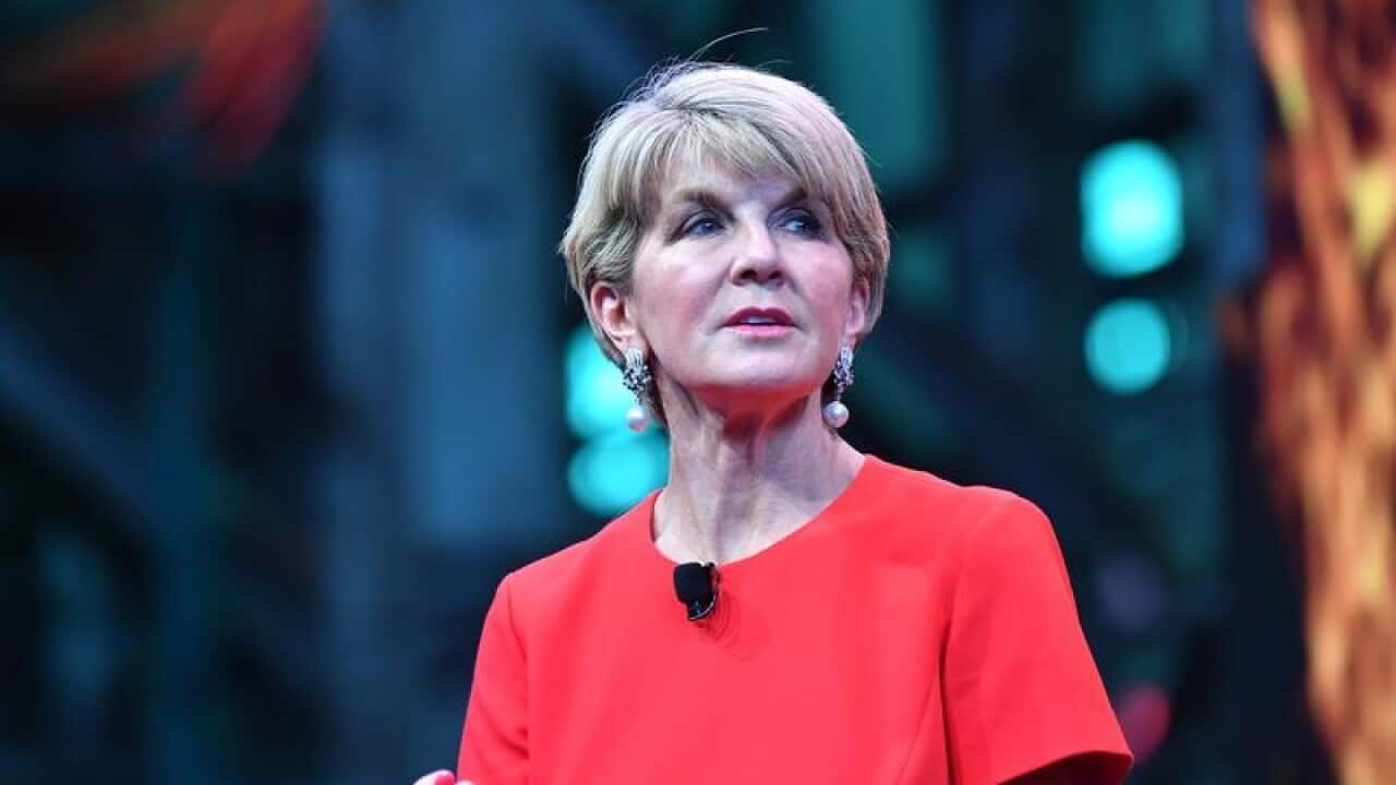 Former Liberal frontbencher Julie Bishop