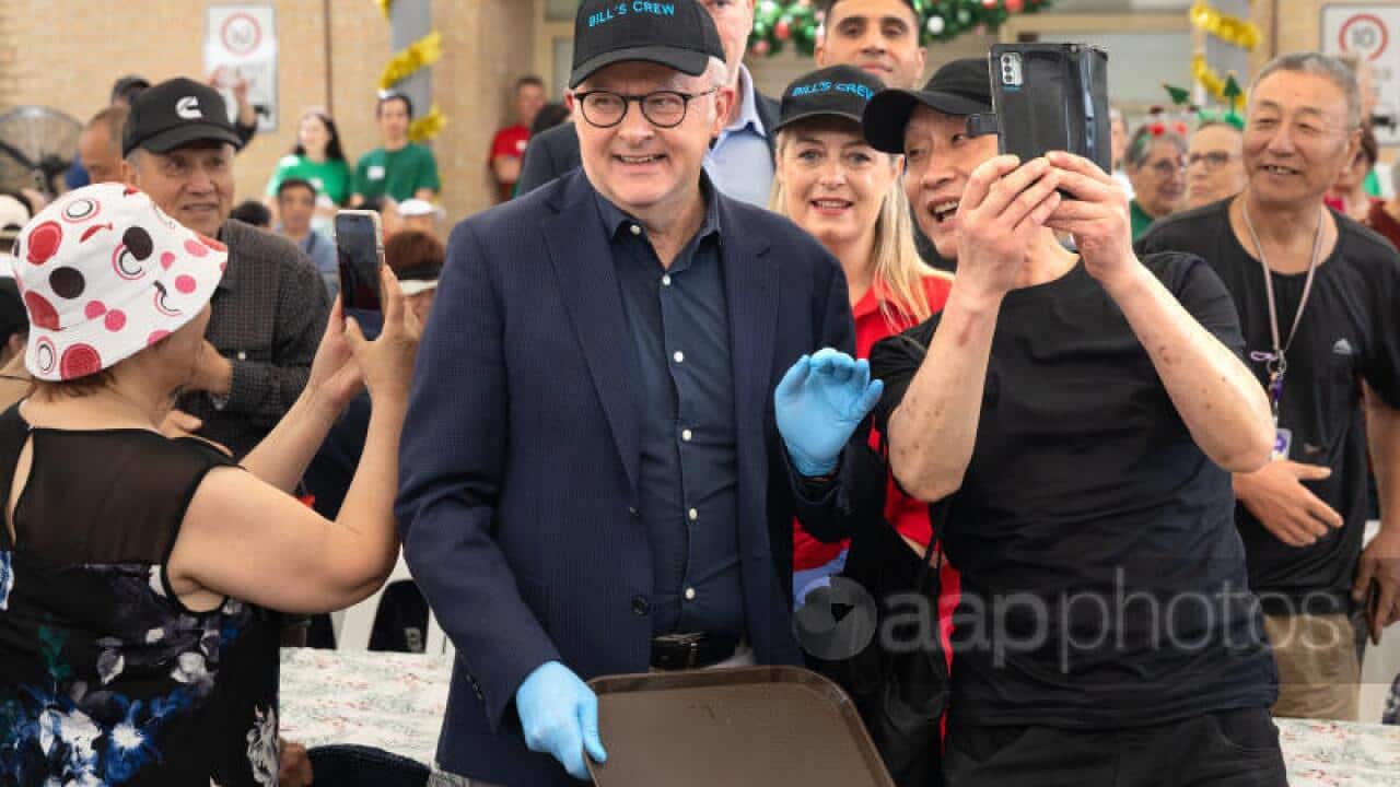 Anthony Albanese Christmas.jpg