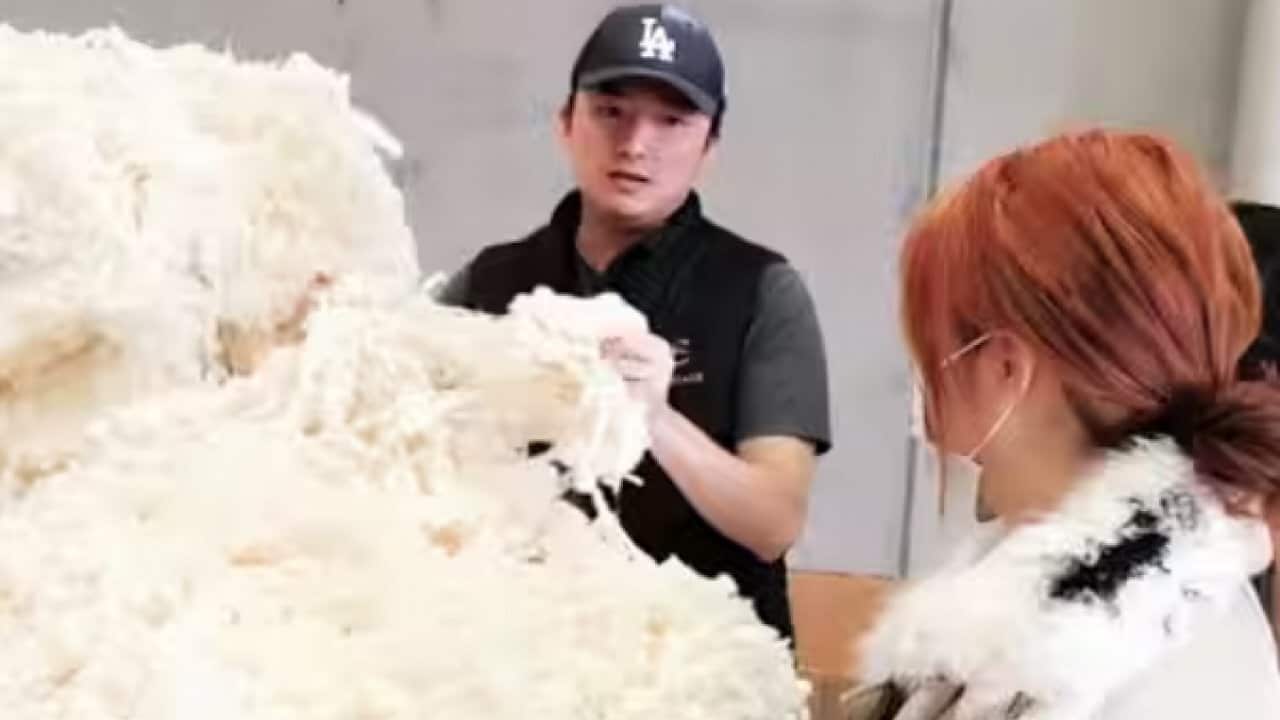 Image for read more article 'READ MORE'